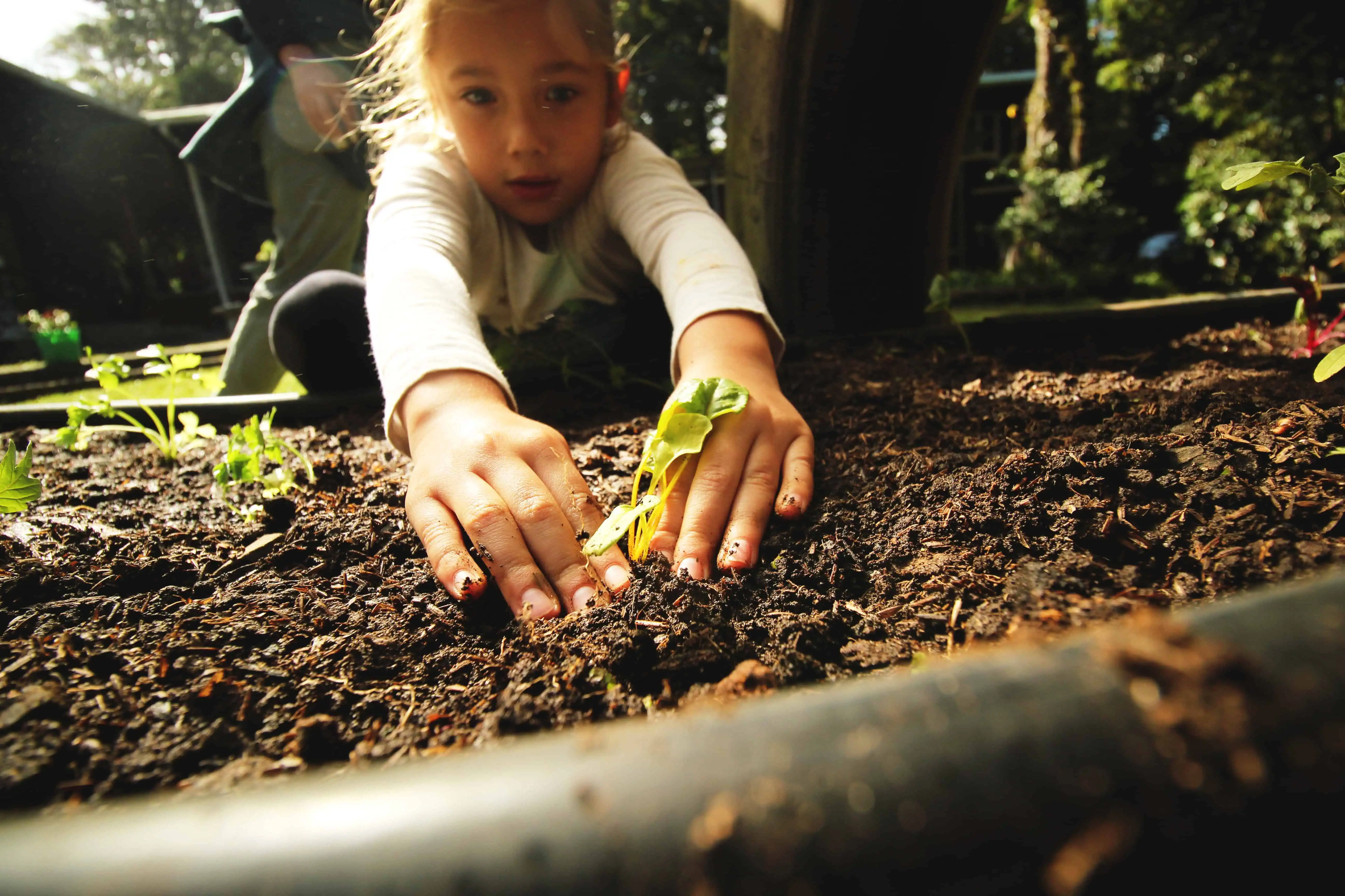 Niños aprendiendo permacultura en Valle Escondido, Monteverde, Costa Rica