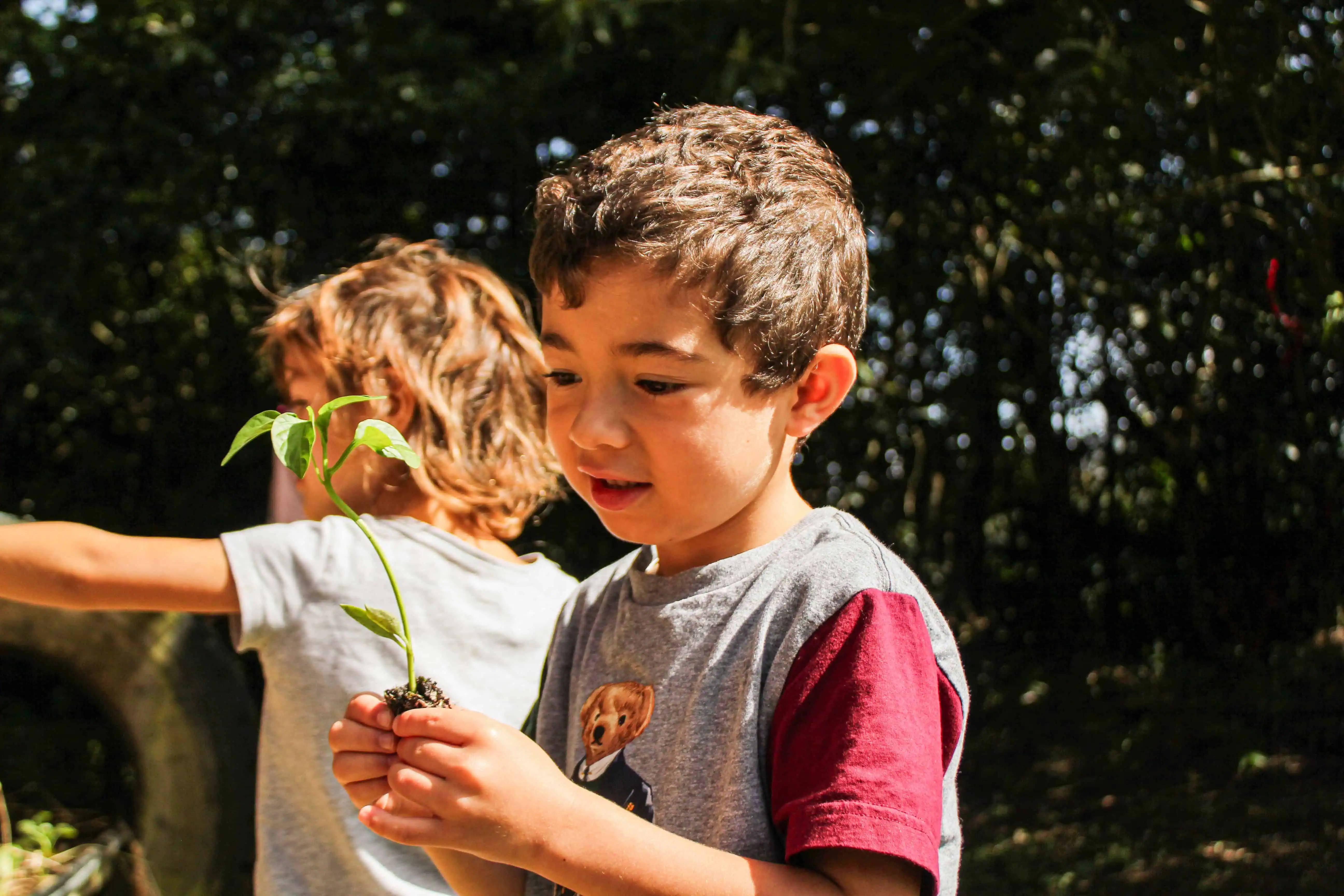 Child holding a young plant seedling at AVER