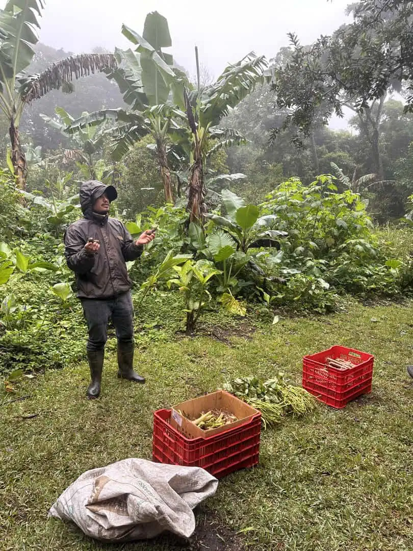 Agricultura regenerativa – prácticas en campo