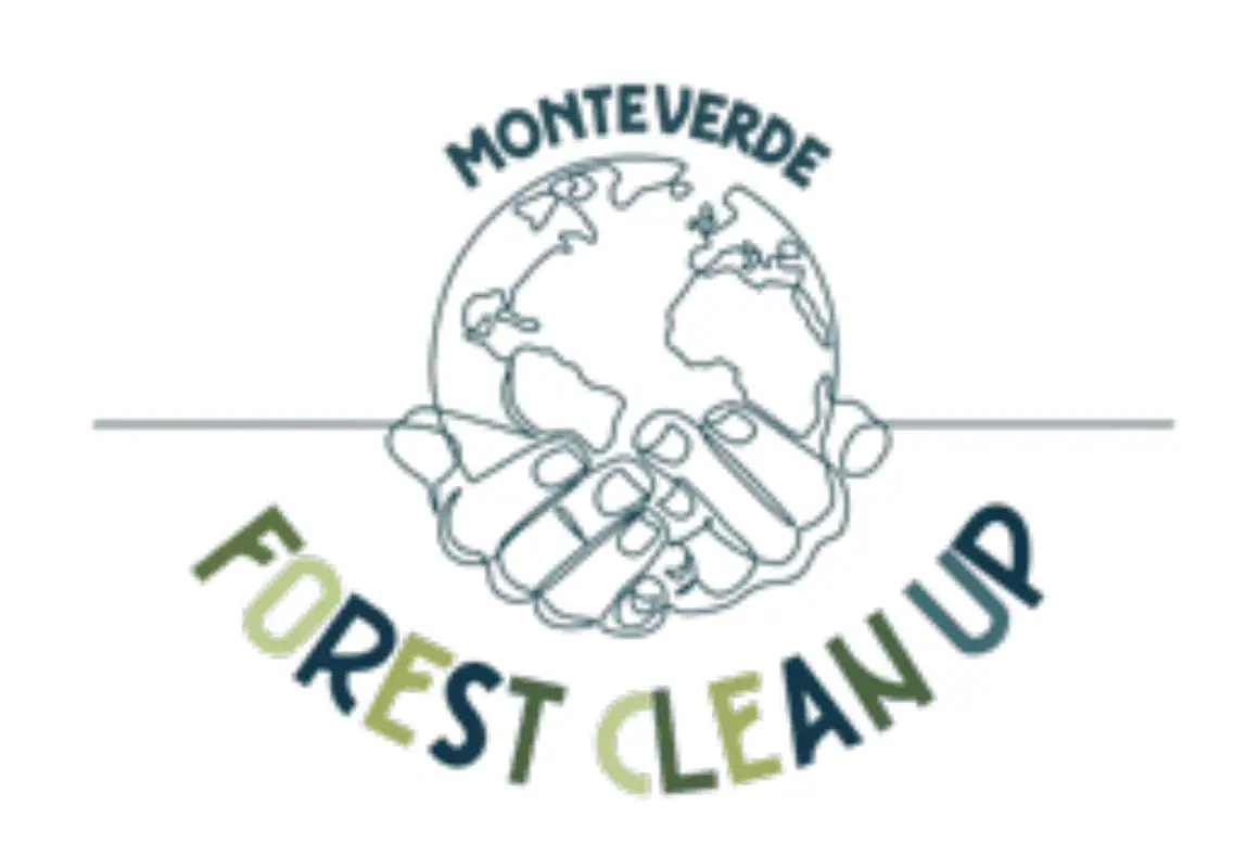 Forest Cleanup